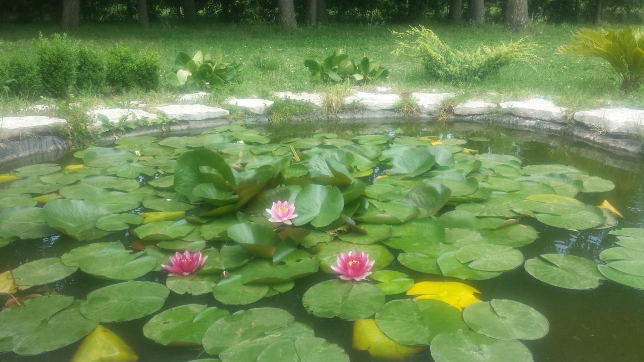 B & B Casal Pereto Valmontone Εξωτερικό φωτογραφία