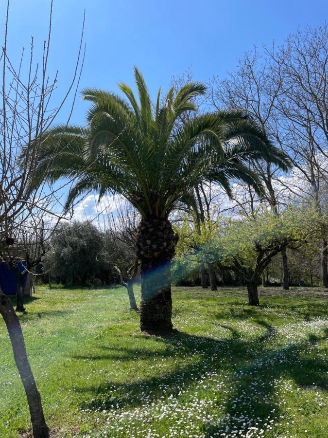 B & B Casal Pereto Valmontone Εξωτερικό φωτογραφία