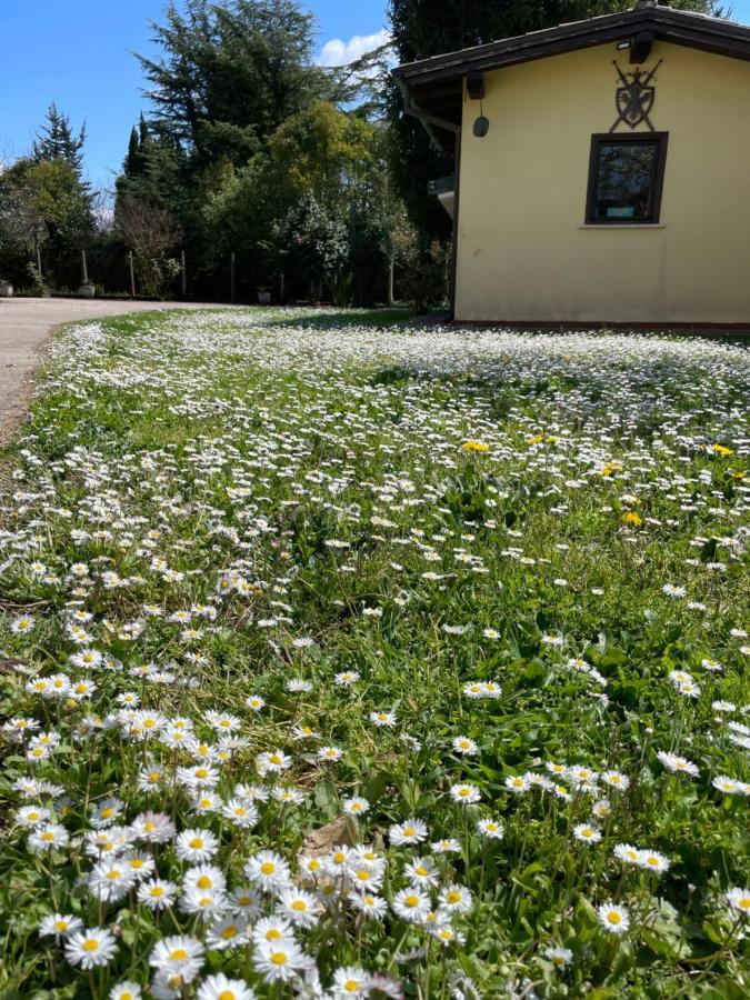 B & B Casal Pereto Valmontone Εξωτερικό φωτογραφία